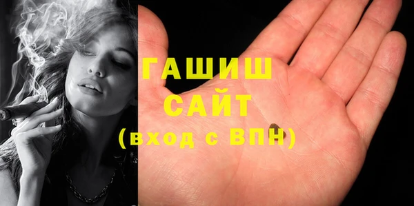 индика Алексин