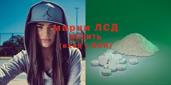 индика Алексин