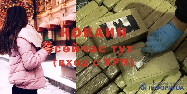 индика Алексин