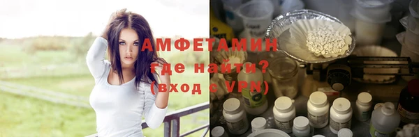 индика Алексин