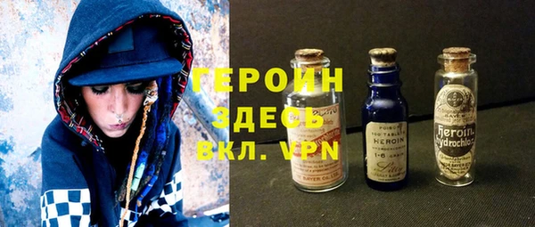 индика Алексин