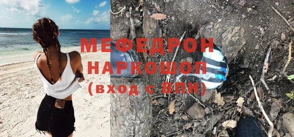 индика Алексин