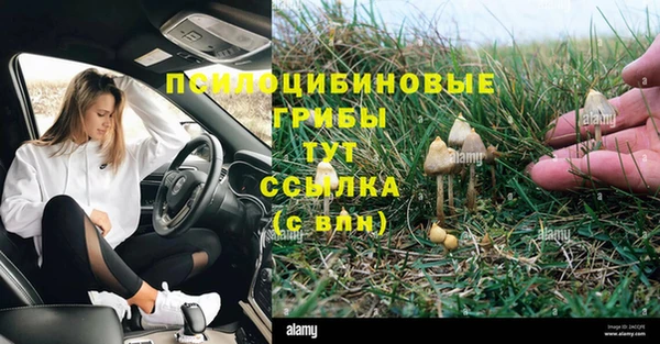 спайс Алзамай