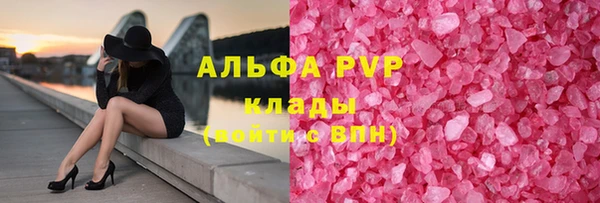 индика Алексин