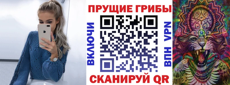 блэк спрут зеркало  Красноуральск  Галлюциногенные грибы MAGIC MUSHROOMS  где продают наркотики 